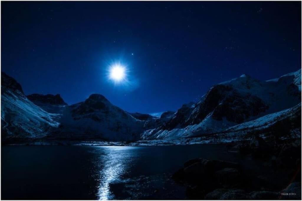 In The Heart Of The Aurora Borealis - Tromso City Exterior foto