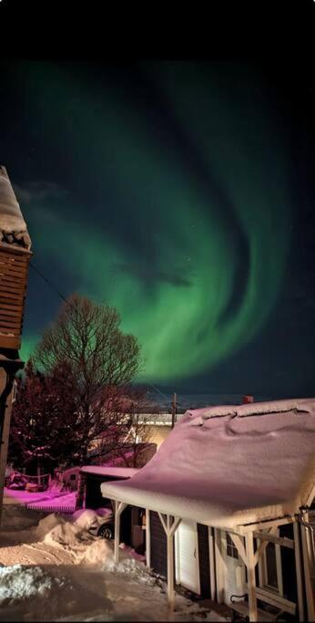In The Heart Of The Aurora Borealis - Tromso City Exterior foto