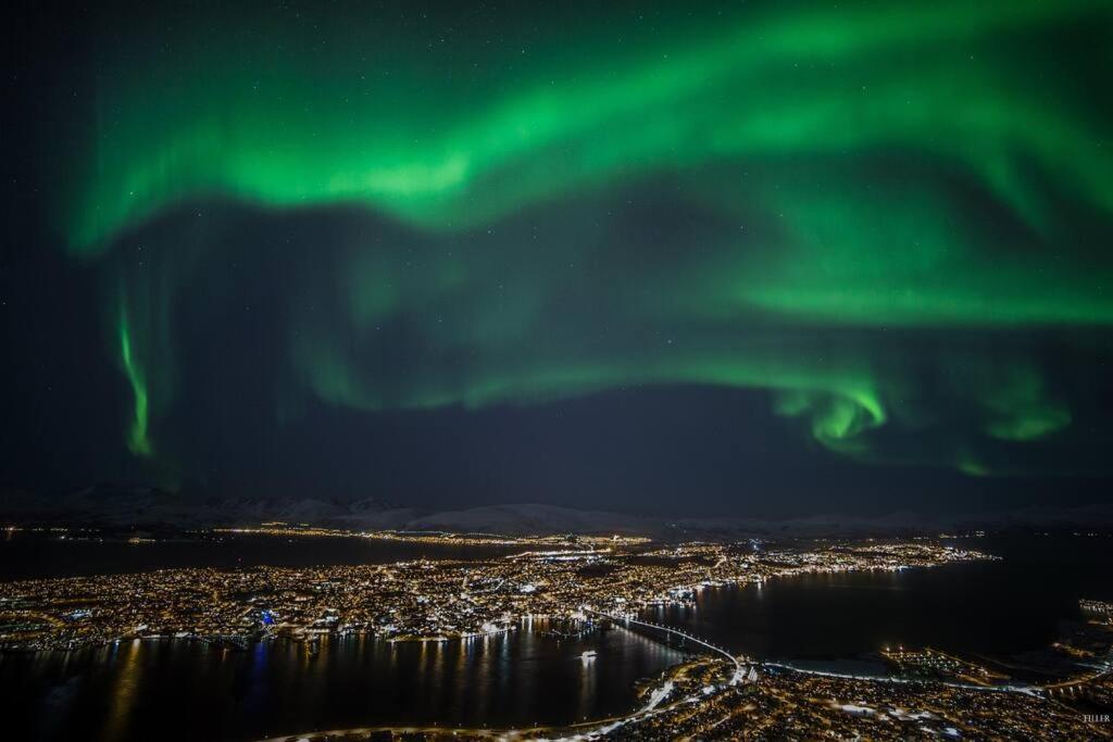 In The Heart Of The Aurora Borealis - Tromso City Exterior foto